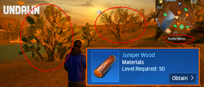 How to Find Juniper Wood in Undawn