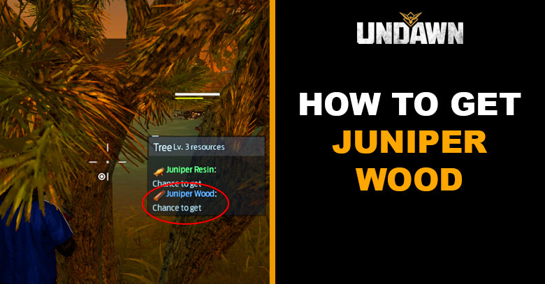 How to Get Juniper Wood in Undawn