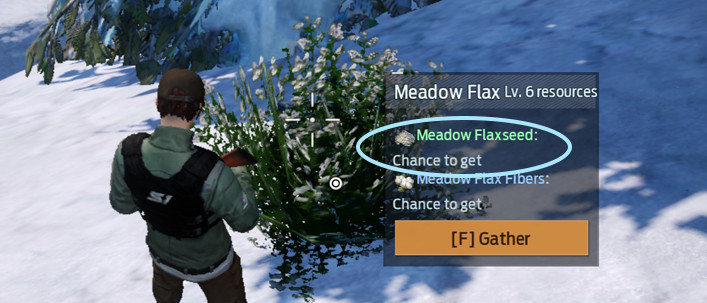 How to Get Meadow Flaxseed in Undawn