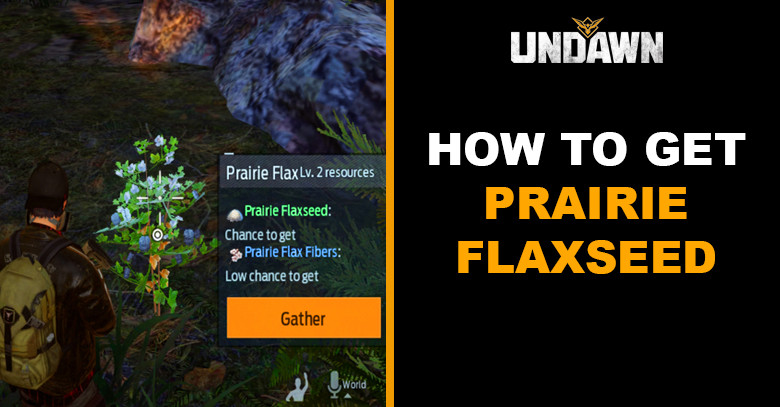 How to Get Prairie Flaxseed in Undawn