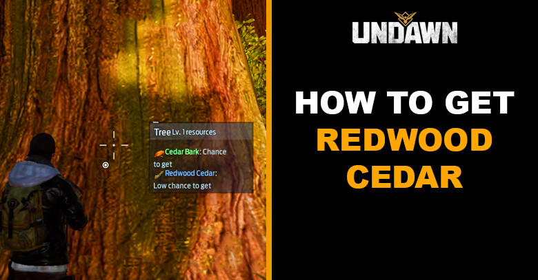 How to Get Redwood Cedar in Undawn
