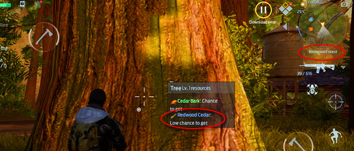 How to Get Redwood Cedar in Undawn