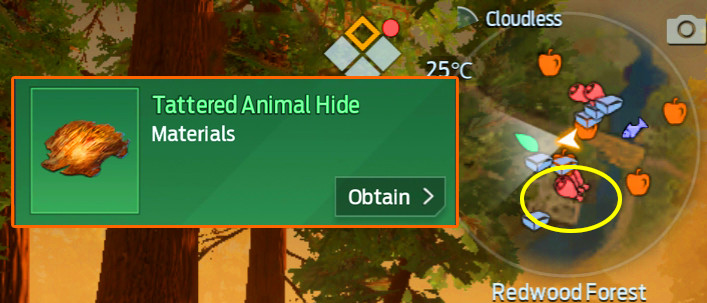 How to Spot Tattered Animal Hide in Undawn