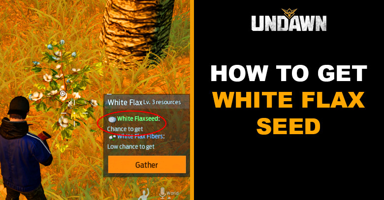 How to get White Flax Seed in Undawn