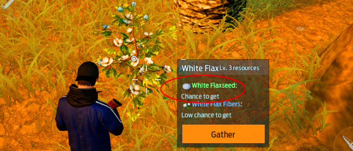 How to Get White Flax Seed in Undawn