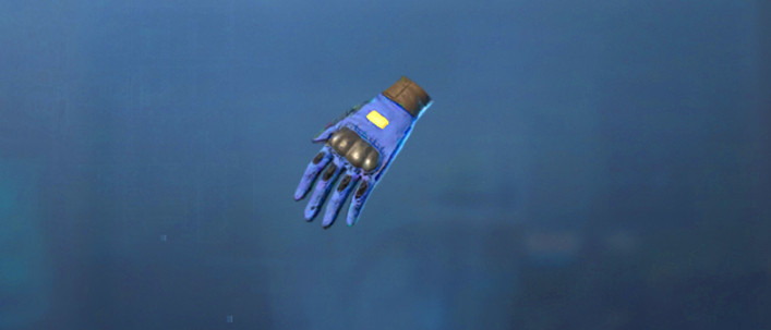 Blue Shark Training Gloves Undawn