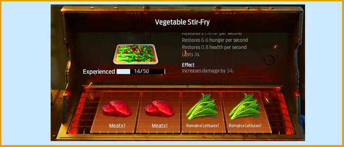 Vegetable Stir Fry Food Recipes Undawn