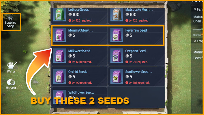 Buy Seeds From Supplies Shop in Farmland Undawn