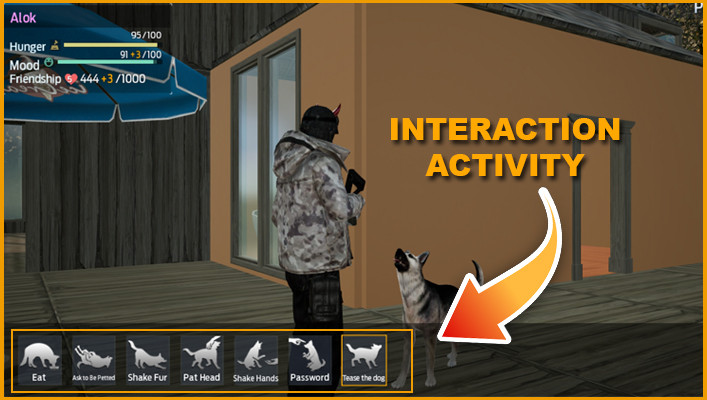 Interact Pet Activity Undawn