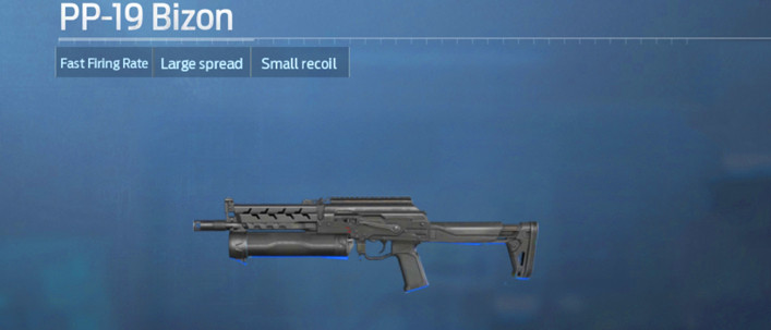 PP19 Bizon Undawn