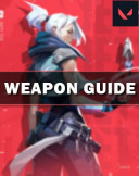 Weapon Guide