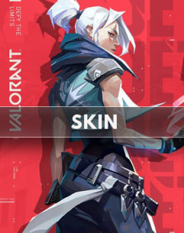 Skin Bundle Collection
