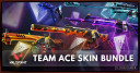 Valorant Team ACE Skin Bundle