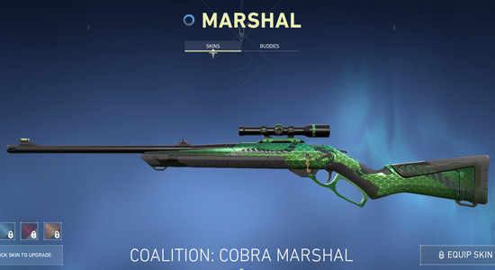 Coalition Cobra Marshal in Valorant - zilliongamer