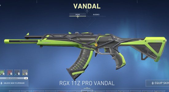 RGX 11z Pro Vandal in Valorant - zilliongamer