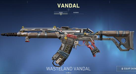 Wasteland Vandal in Valorant - zilliongamer