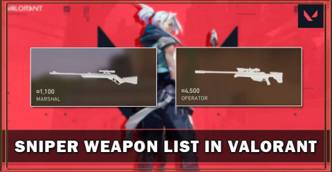 Rifles de precisão