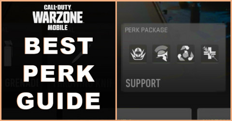 Guide to Choosing Perk in Warzone Mobile