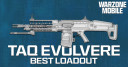 The Best TAQ Evolvere Loadout for Warzone Mobile