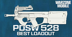 PDSW 528