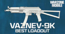 The Best Vaznev-9K Loadout for Warzone Mobile