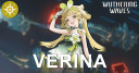 Verina Guide