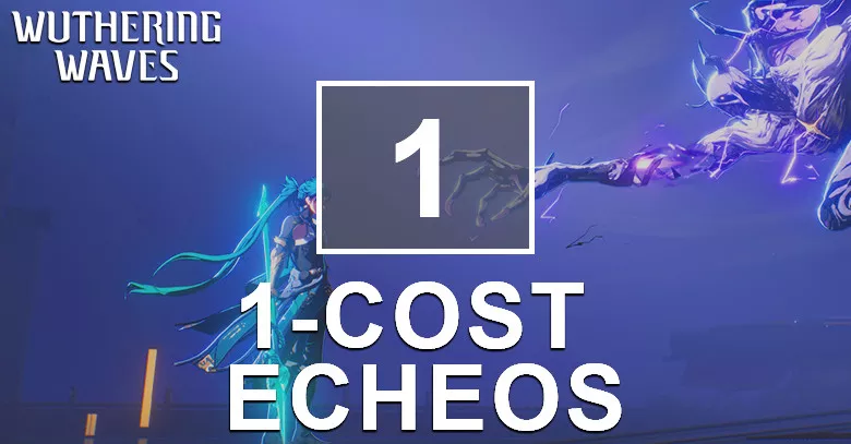 1-COST Echoes
