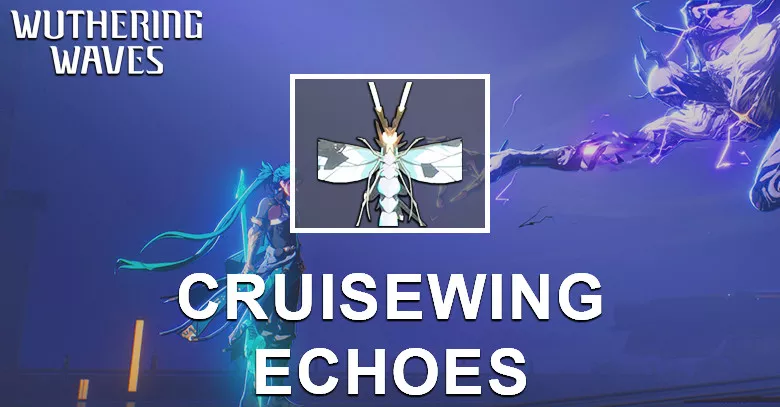 Cruisewing Echo