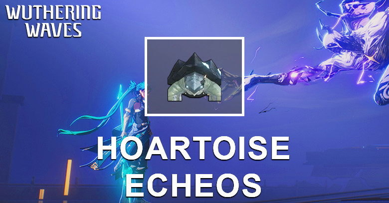 Hoartoise Echo