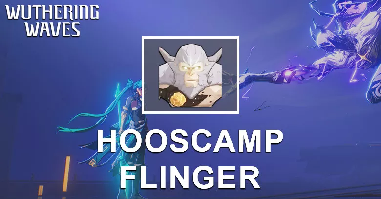Hooscamp Flinger Echo