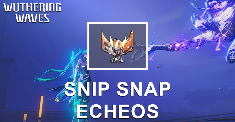 Snip Snap Echo