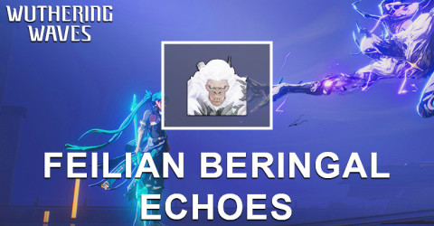 Feilian Beringal Echo