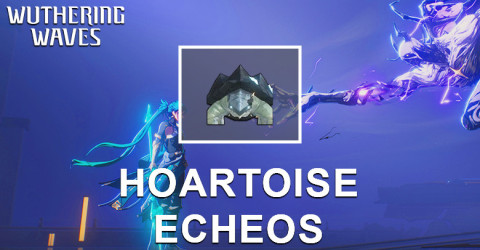 Hoartoise Echo