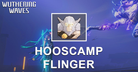 Hooscamp Flinger Echo