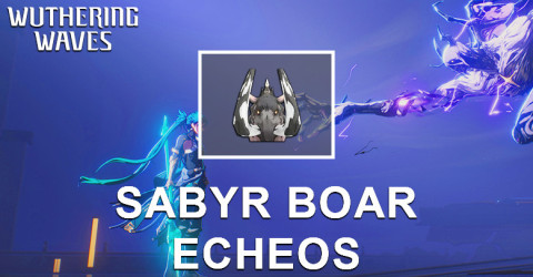 Sabyr Boar Echo