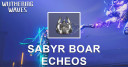 Sabyr Boar Echo