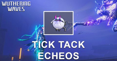 Tick Tack Echo