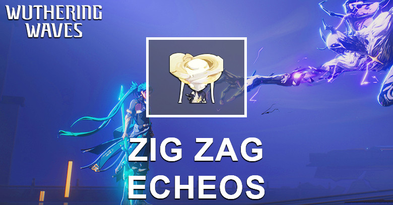 Zig Zag Echo