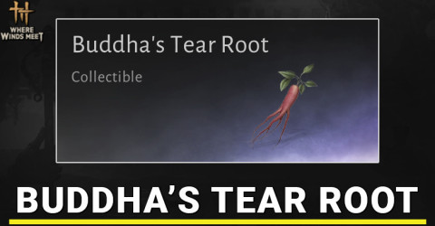 Buddha's Tear Root Location in Where Winds Meet