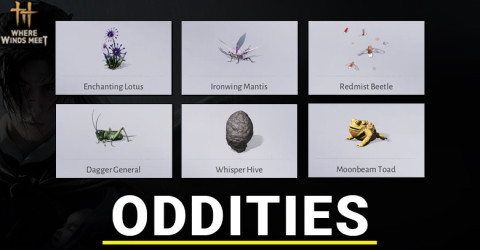 All Oddities Materials in Where Winds Meet