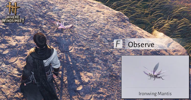 Iron Wing Mantis | Where Winds Meet How to get Iron Wing Mantis in Where Winds Meet