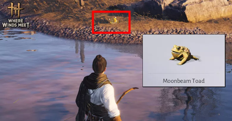 Moonbeam Toad | Where Winds Meet How to get Moonbeam Toad in Where Winds Meet