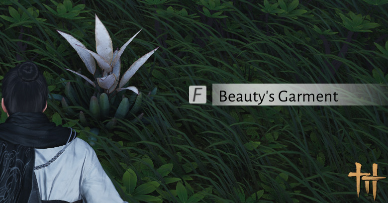 Beauty's Garment | Where Winds Meet WWM Beauty's Garment - zilliongamer